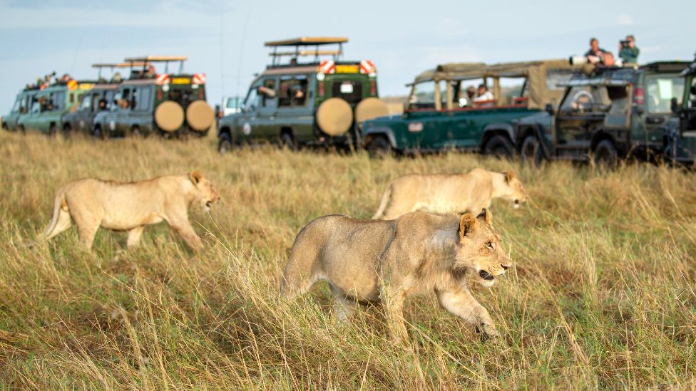 Kenya’s Maasai Mara