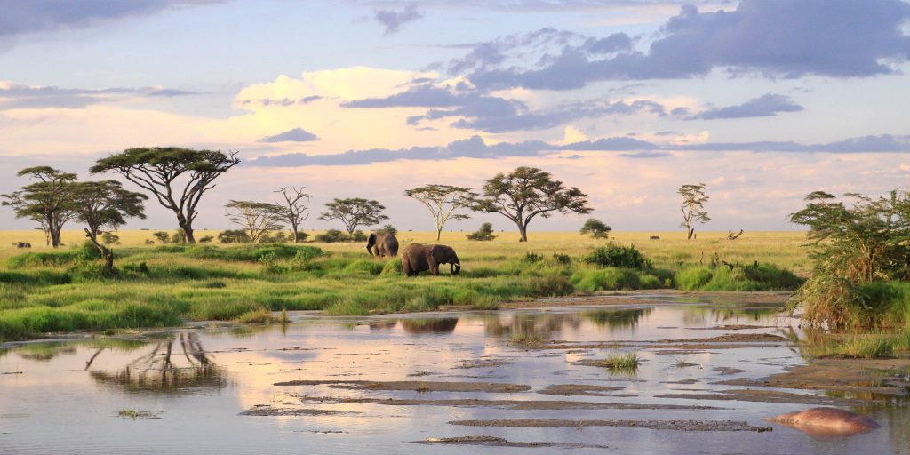 Serengeti in Tanzania